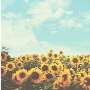 Meet your Posher, Maribel